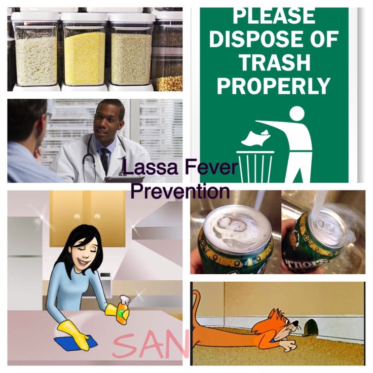 Lassa prevention1